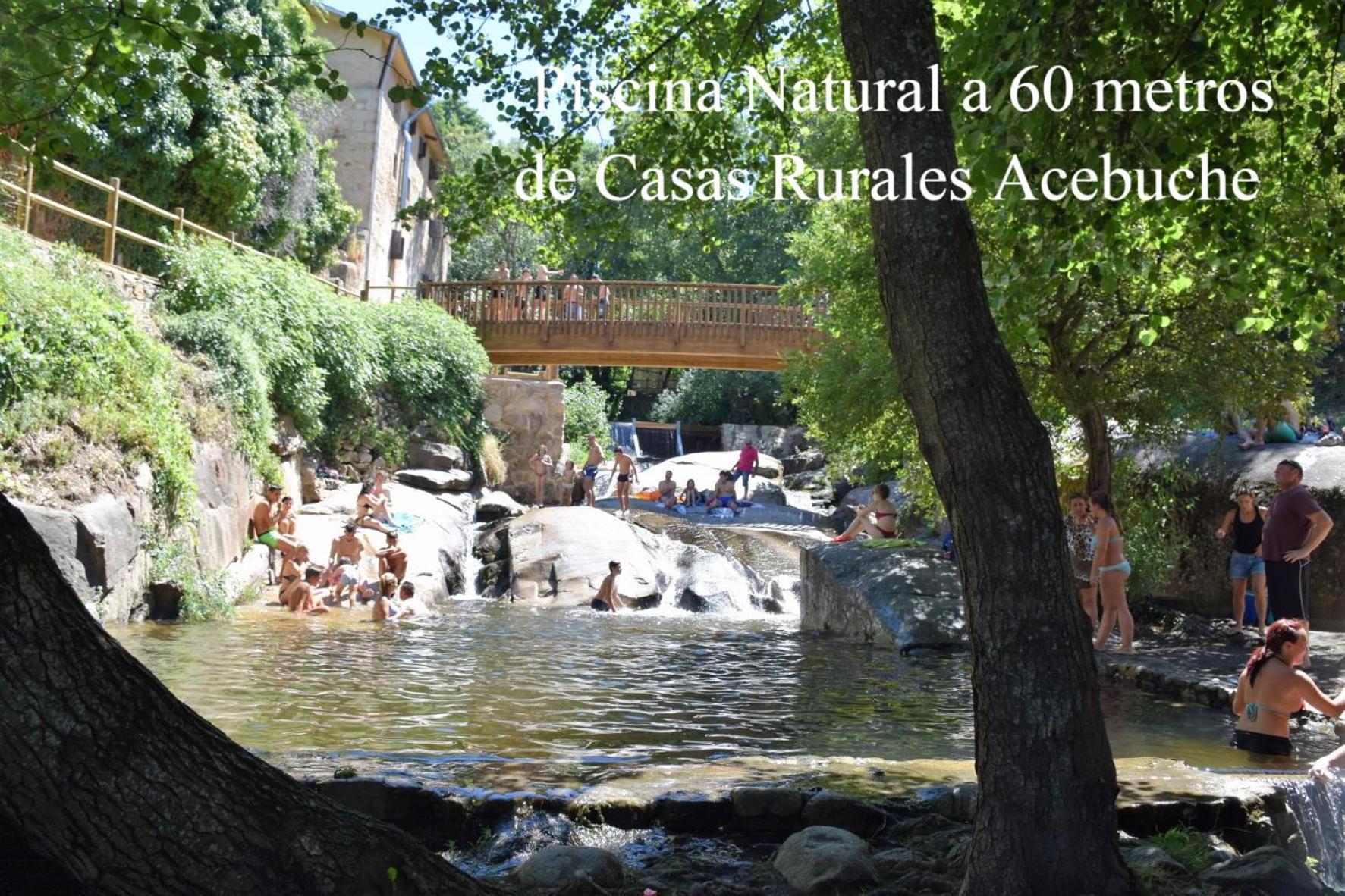 Aroma De Primavera En Casas Rurales Acebuche Casas del Monte Exterior foto