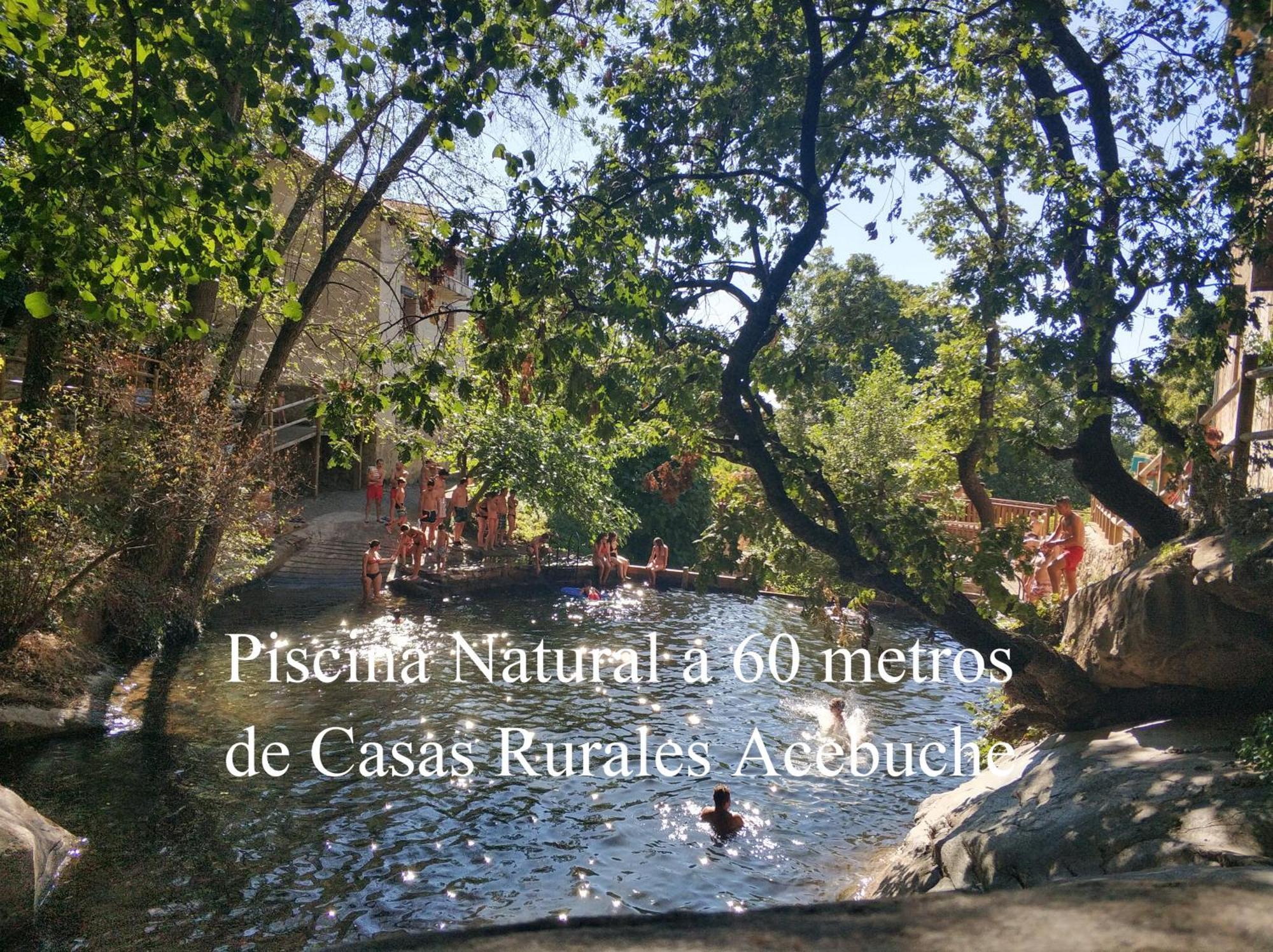 Aroma De Primavera En Casas Rurales Acebuche Casas del Monte Exterior foto